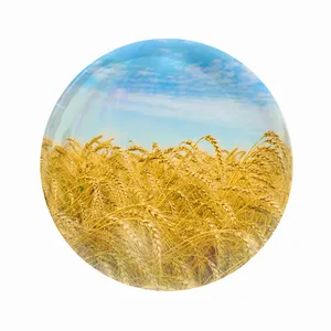مگنت عرش طرح فانتزی گندم زار کد Asm4279