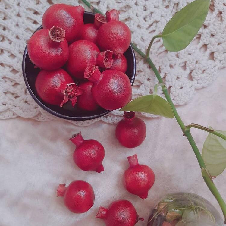 دکوری طرح انار مدل یلدا مجموعه 10 عددی