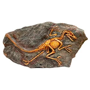 دیوارکوب مدل فسیل دایناسور کد 44