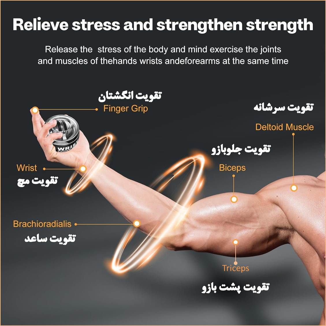 توپ ورزشی ژیروبال مدل تقویت عضلات دست -  - 3