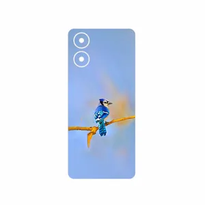 MAHOOT Cyanocitta cristata Cover Sticker for Motorola Moto G04s
