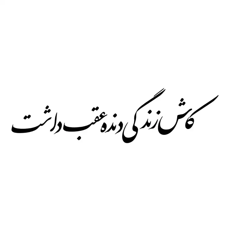 برچسب بدنه خودرو طرح کاش زندگی دنده عقب داشت کد MT-B413