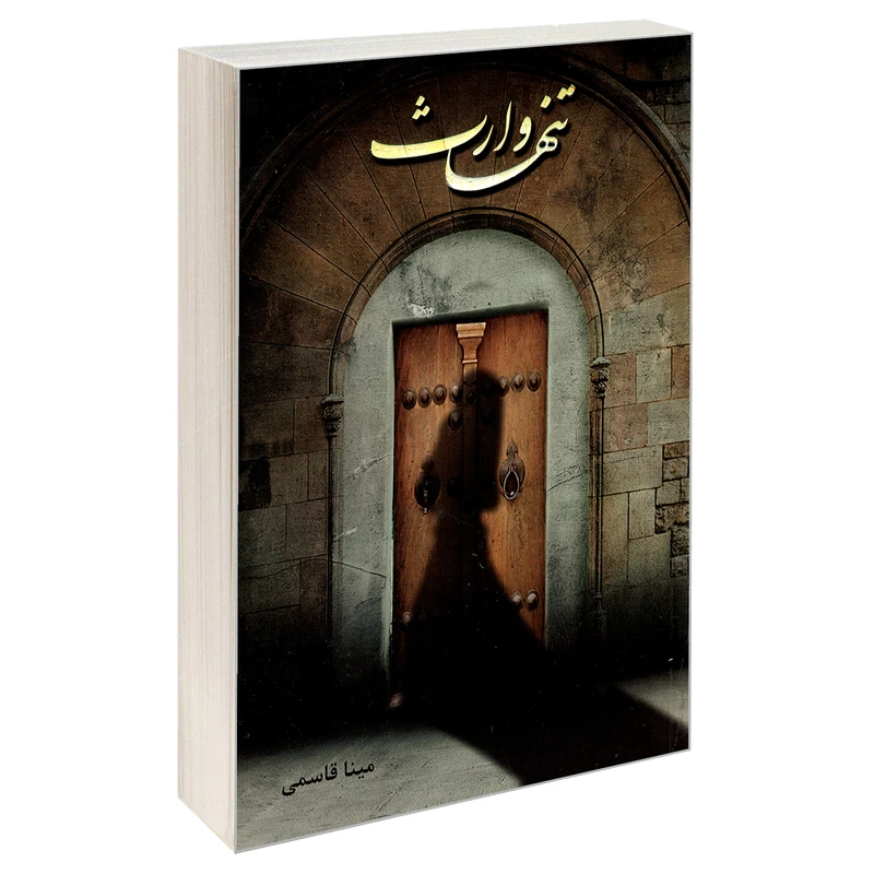 کتاب تنها وارث اثر مینا قاسمی نشر سرگیس