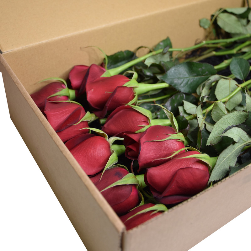 شاخه گل رز هلندی قرمز دسته 20 عددی