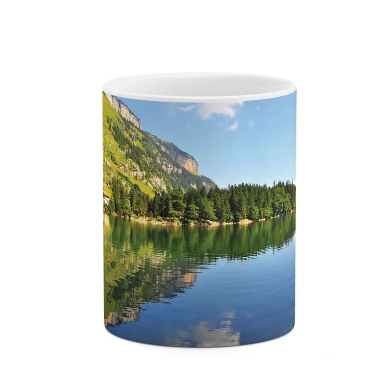 ماگ کاکتی مدل منظره کد mgh10104