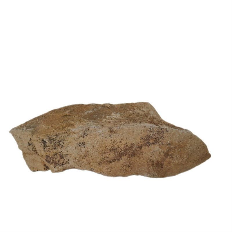 سنگ راف شجر فسیلی مدل خزه ای کد 131