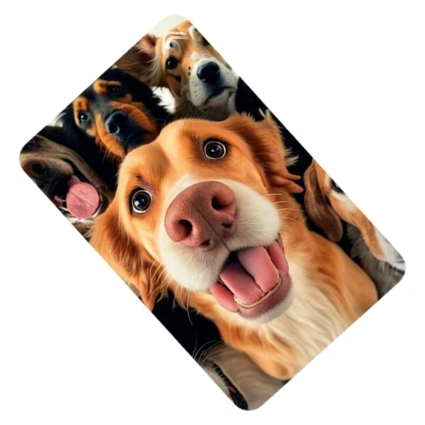  استیکر کارت مدل CAB361-K-G1-44