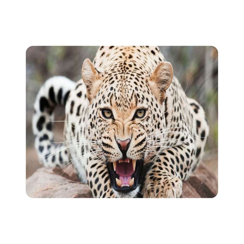 ماوس پد اطلس آبی  طرح یوز پلنگ  مدل T7670