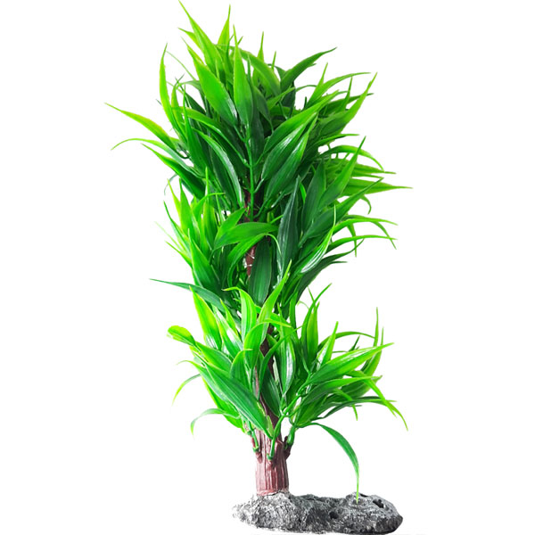 گیاه تزئینی آکواریوم کد Ma1603