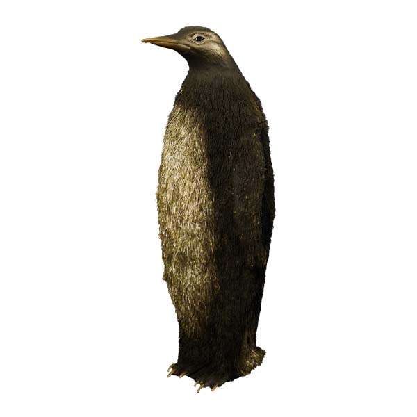 مجسمه مدل پنگوئن