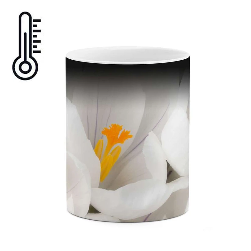 ماگ حرارتی کاکتی مدل گل کد mgh12031