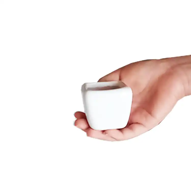 گلدان سفالی مدل RO - 20