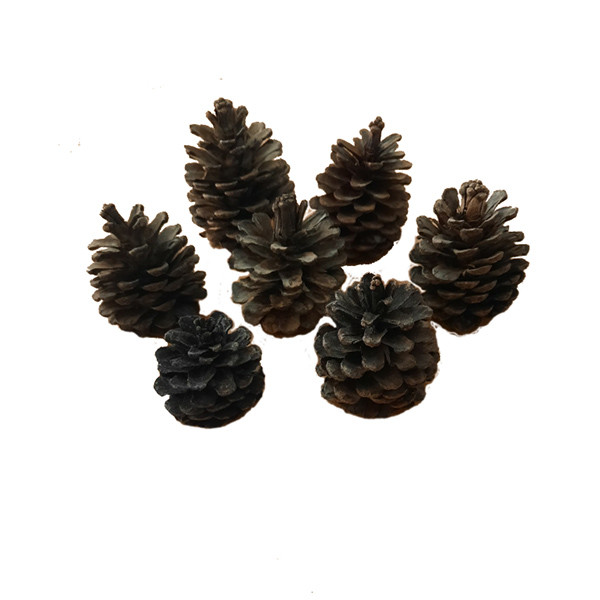 دکوری کد TB مجموعه 7 عددی