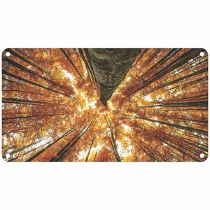  رادیاتور برقی دیواری تاپسان مدل D-902-TP-N-50