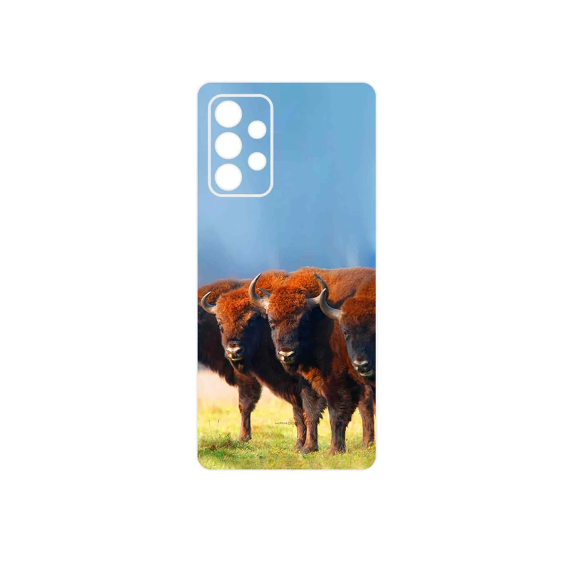 برچسب پوششی ماهوت مدل Buffalo مناسب برای گوشی موبایل سامسونگ Galaxy A53 5G