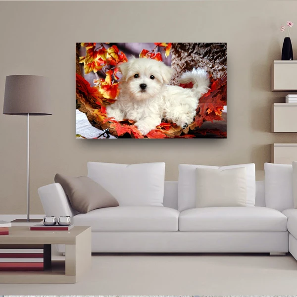 پوستر مدل توله سگ پاییزی نژاد شیتسو کد 1079