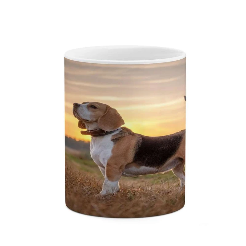 ماگ کاکتی مدل سگ کد mgh14536