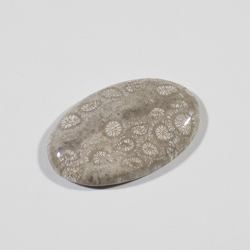 سنگ فسیل مرجان کد TG6523