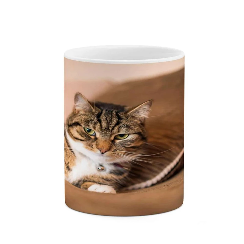 ماگ کاکتی مدل گربه کد mgh16437