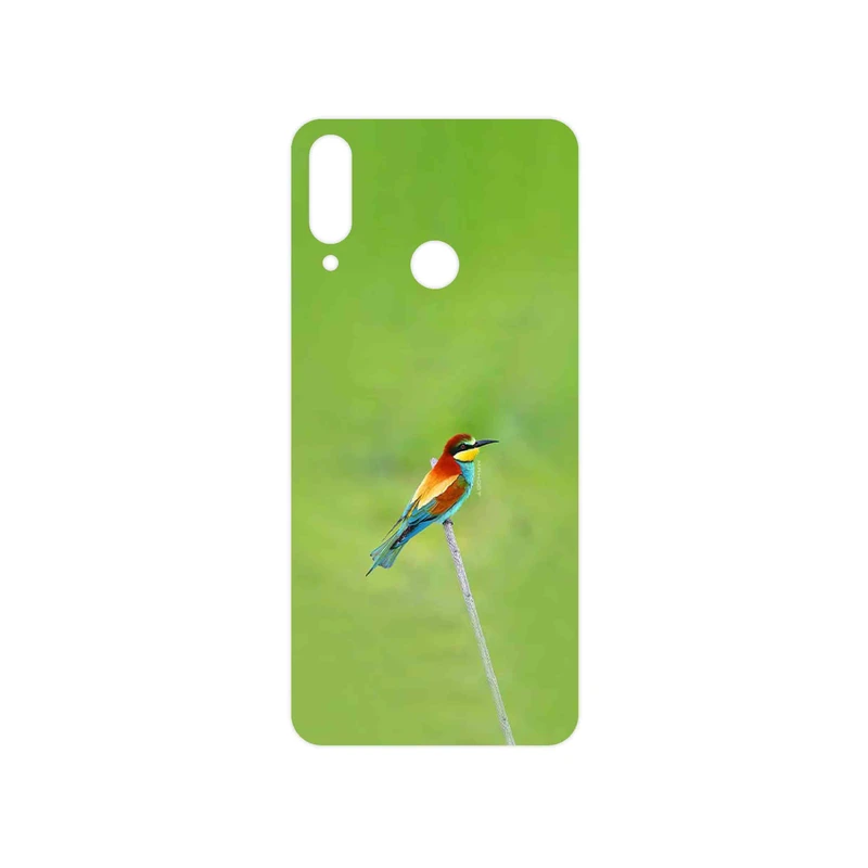 برچسب پوششی ماهوت مدل European bee-eater مناسب برای گوشی موبایل ال جی W30