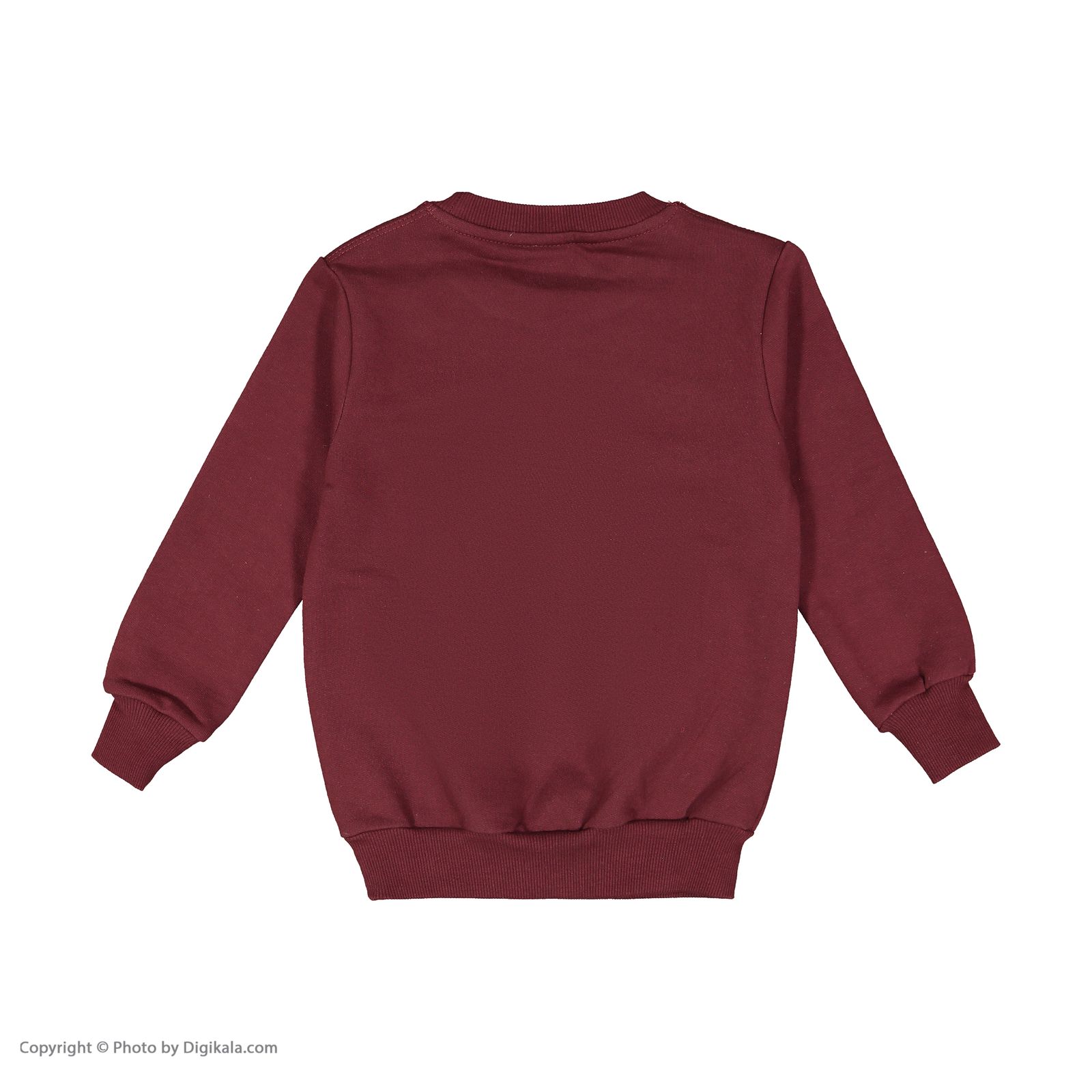 سویشرت پسرانه لیلیان مد مدل K0430016CN-2 -  - 7