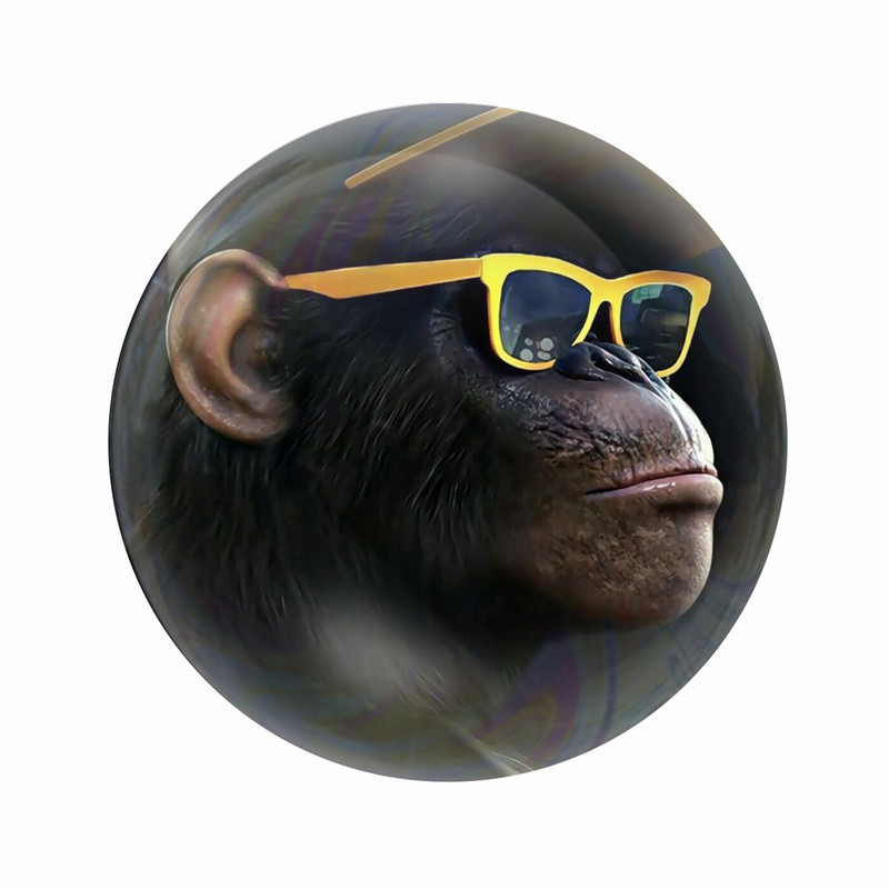 مگنت عرش طرح فانتزی میمون کد Asm4384