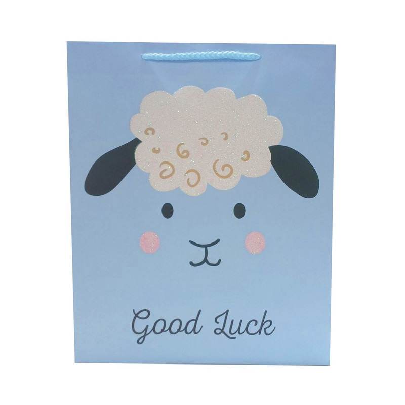 ساک هدیه مدل ببعی کد 3402