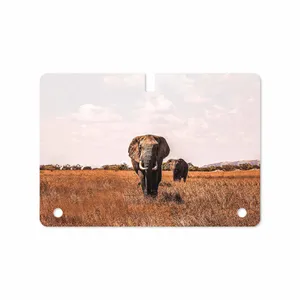 MAHOOT Elephant Cover Sticker for Samsung Galaxy Tab S 10.5 2014 T800