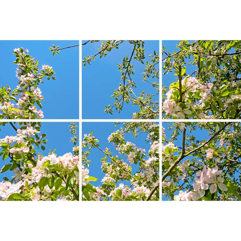 تایل سقفی آسمان مجازی مدل SK-420-2x3 سایز 60x60 مجموعه شش عددی