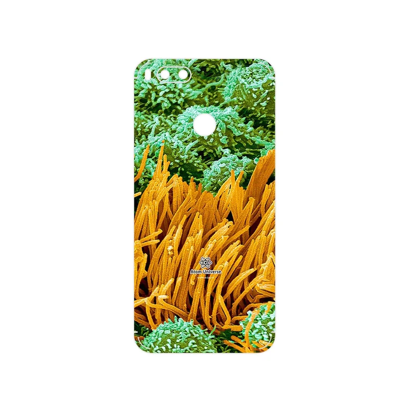 برچسب پوششی ماهوت مدل Atom Universe 6 مناسب برای گوشی موبایل شیائومی Mi A1