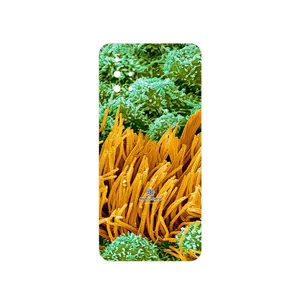 MAHOOT Atom Universe 6 Cover Sticker for Samsung Galaxy M31S