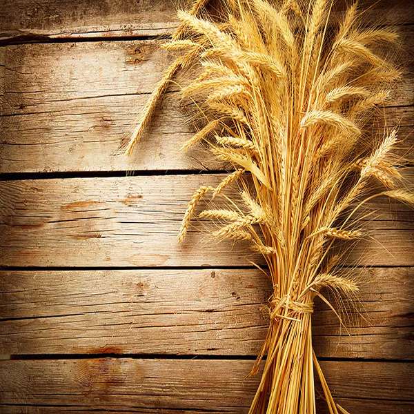 پوستر دیواری مدل mt-83592