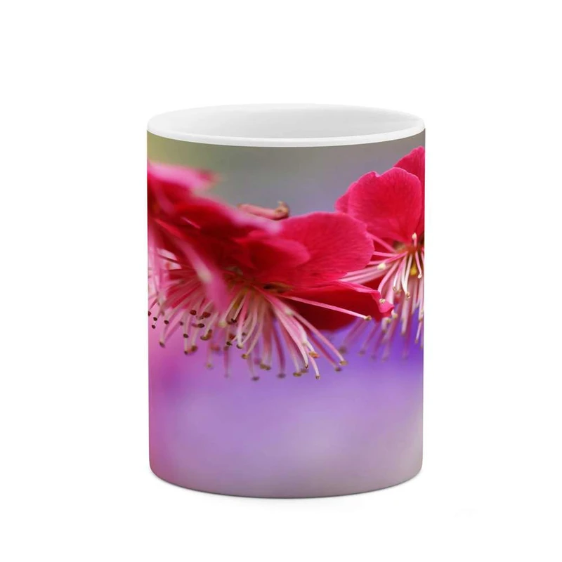 ماگ کاکتی مدل گل کد mgh15543