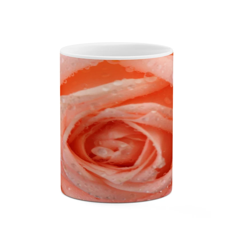 ماگ کاکتی مدل گل رز کد mgh18052