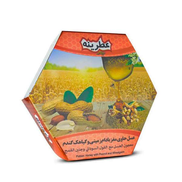 عسل حاوی مغز بادام زمینی و گیاهک گندم عطرینه - 120 گرم