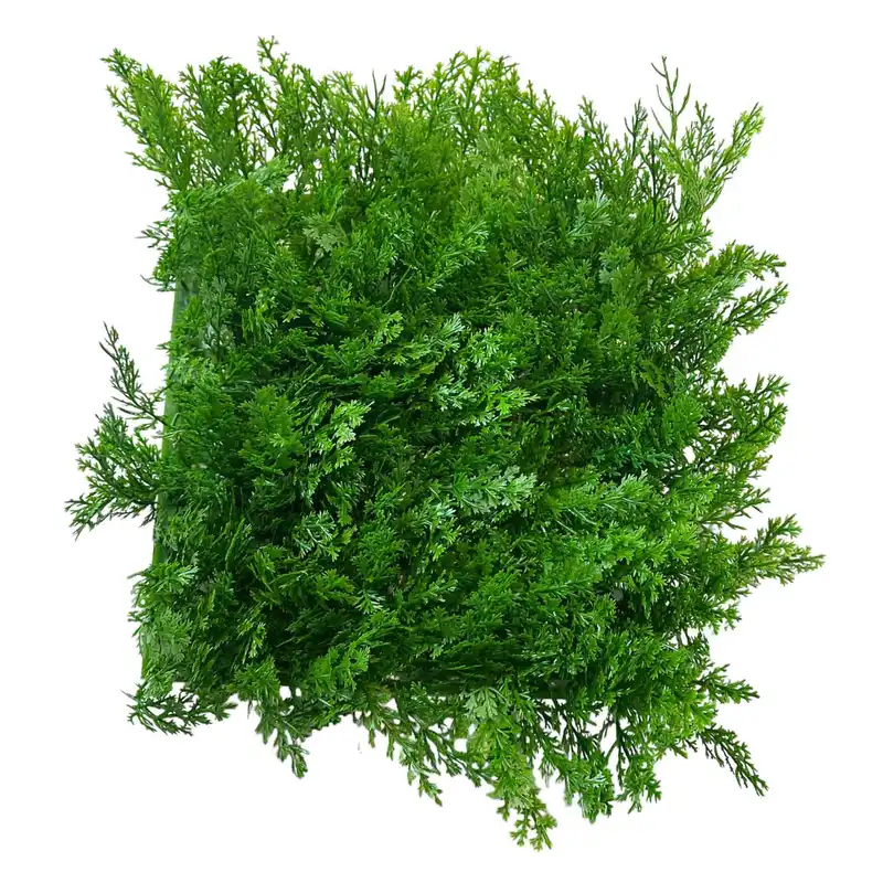 دیوار پوش مدل دیوار سبز مصنوعی طرح برگ سرو