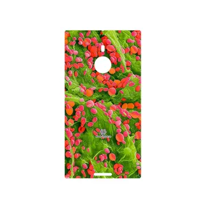 MAHOOT Atom Universe 3 Cover Sticker for Nokia Lumia 1520