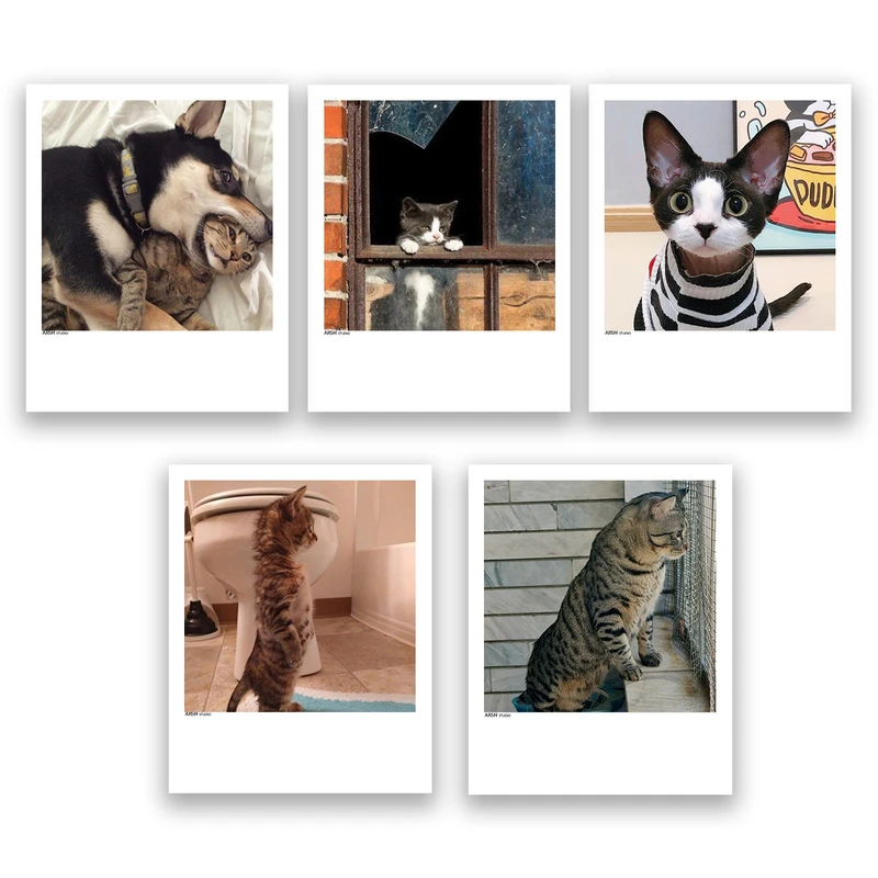 آویز تزیینی عرش مدل فانتزی گربه بامزه کد Asa356 مجموعه پنچ عددی