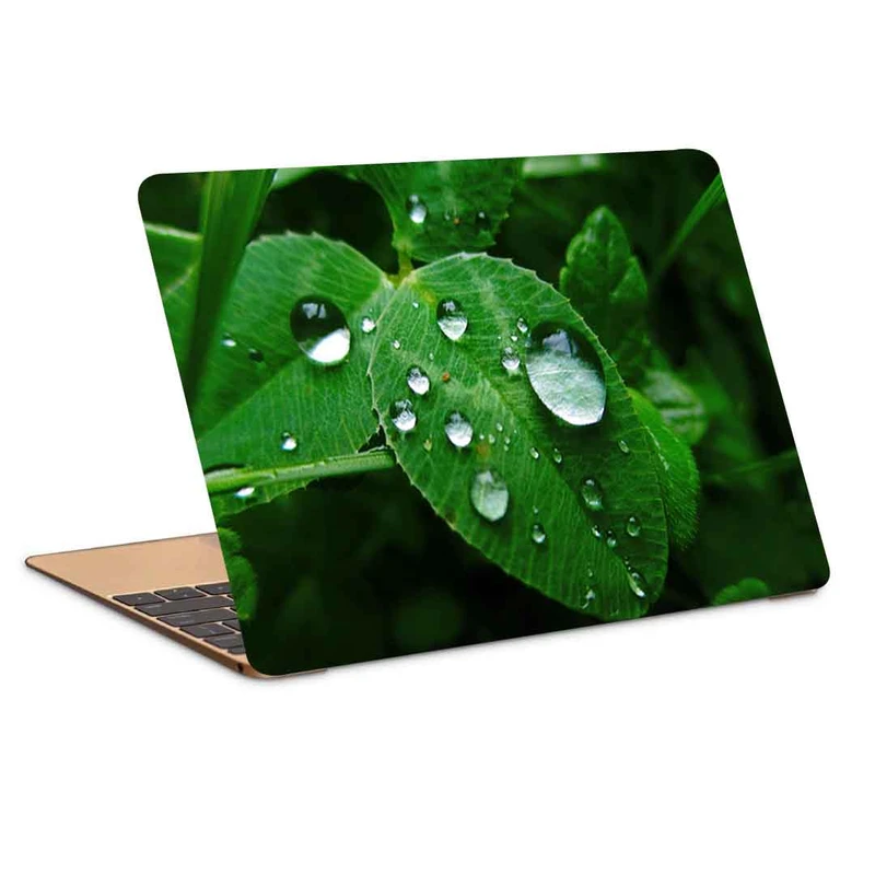 استیکر لپ تاپ طرح leaves grass de کد P-828 مناسب برای لپ تاپ 15.6 اینچ
