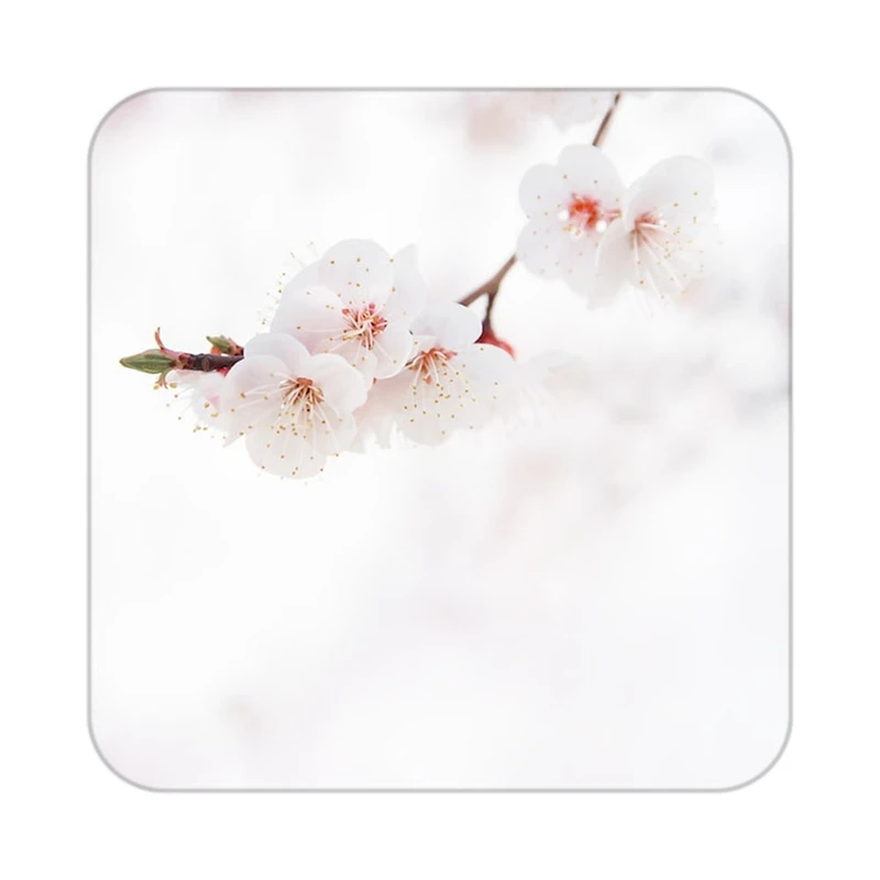 زیر لیوانی کاکتی طرح گل مدل mp16650