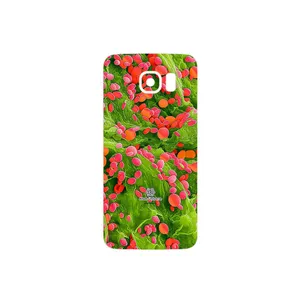 MAHOOT Atom Universe 3 Cover Sticker for Samsung Galaxy S6