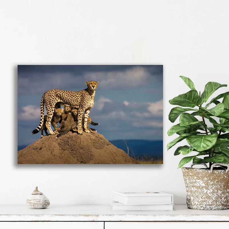 تابلو شاسی آتریسا مدل حیوانات animal