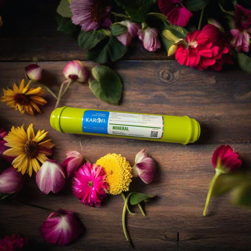 فیلتر دستگاه تصفیه آب کاروفی مدل مینرال کد SILVER2 فیلتر دستگاه تصفیه آب کاروفی مدل مینرال کد SILVER2