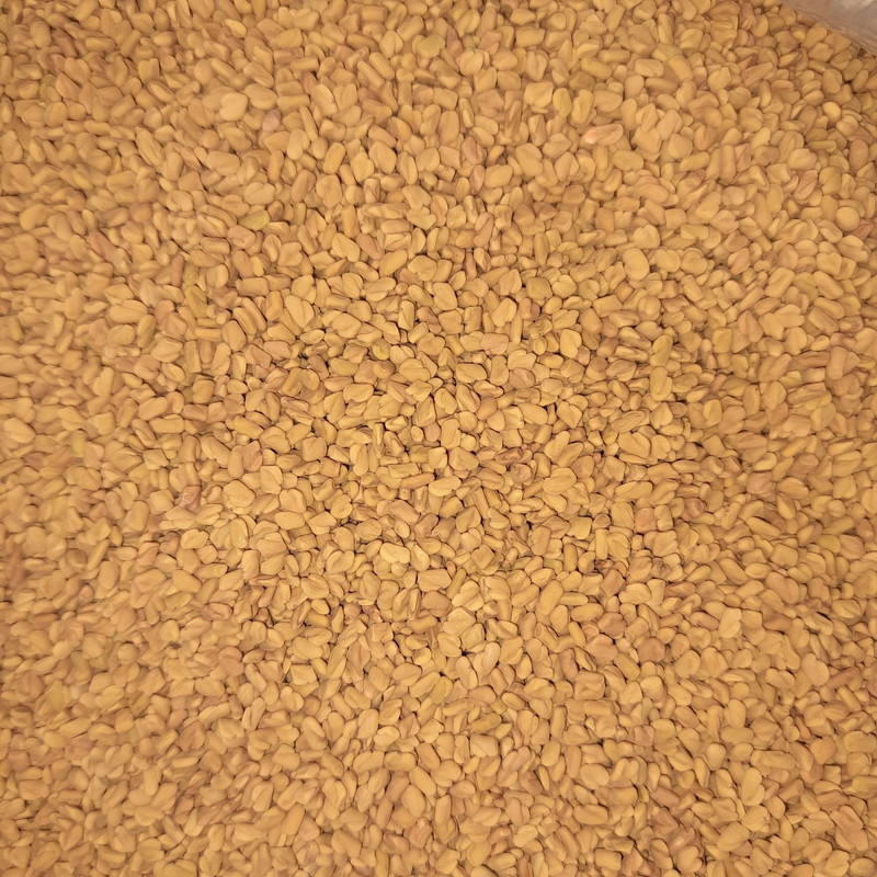 تخم شنبلیله چاشنی - 100 گرم