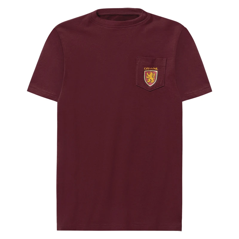 تی‌شرت آستین کوتاه پسرانه هری پاتر مدل SEP-LIZARD0G33