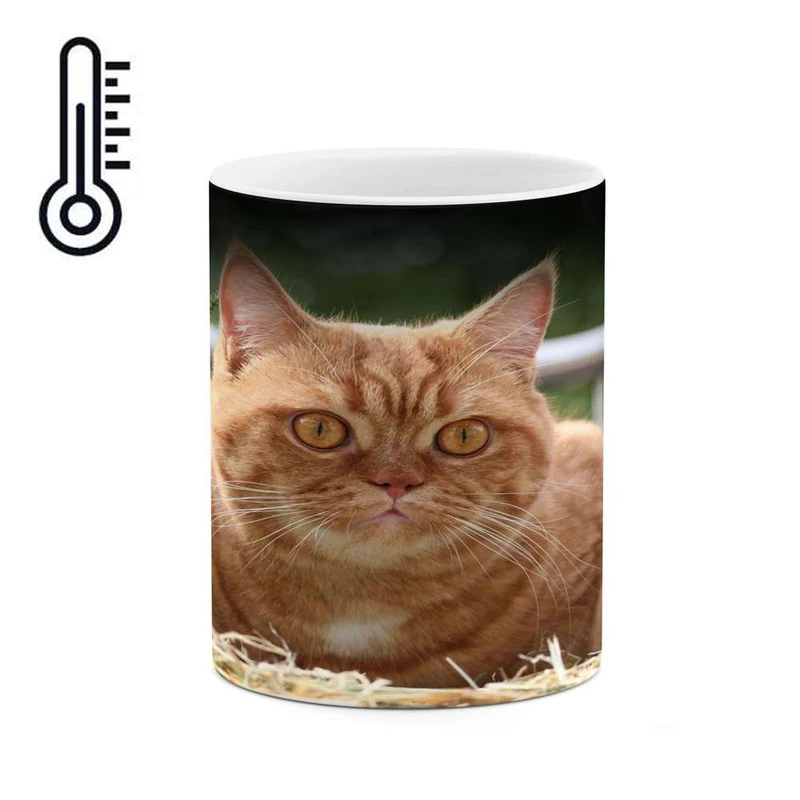 ماگ حرارتی کاکتی مدل گربه کد mgh17242