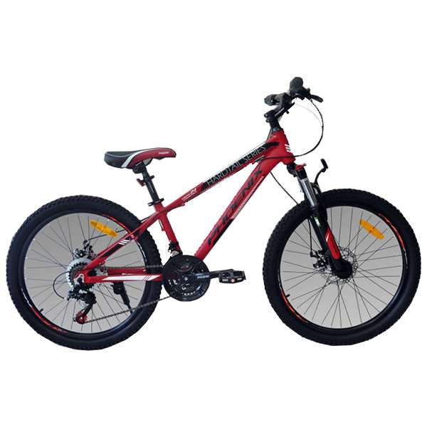 دوچرخه شهری مدل فونیکس کد moon2402 سایز24