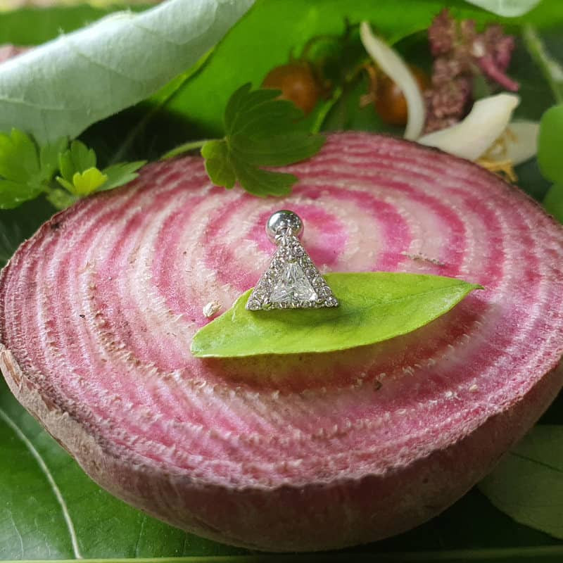 پیرسینگ گوش زنانه پایتخت مدل PS331