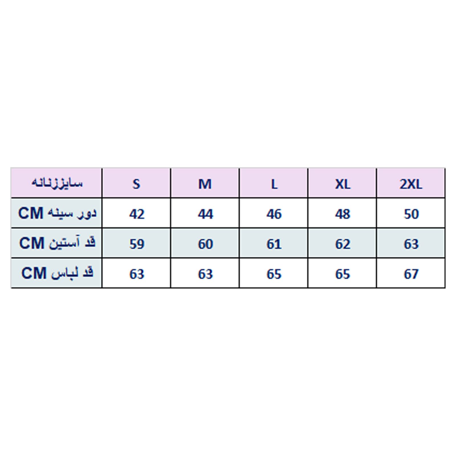 پلیور زنانه دیجی استایل بیسیک مدل 173110643 -  - 11