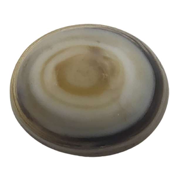 سنگ باباقوری سلین کالا مدل ce-49